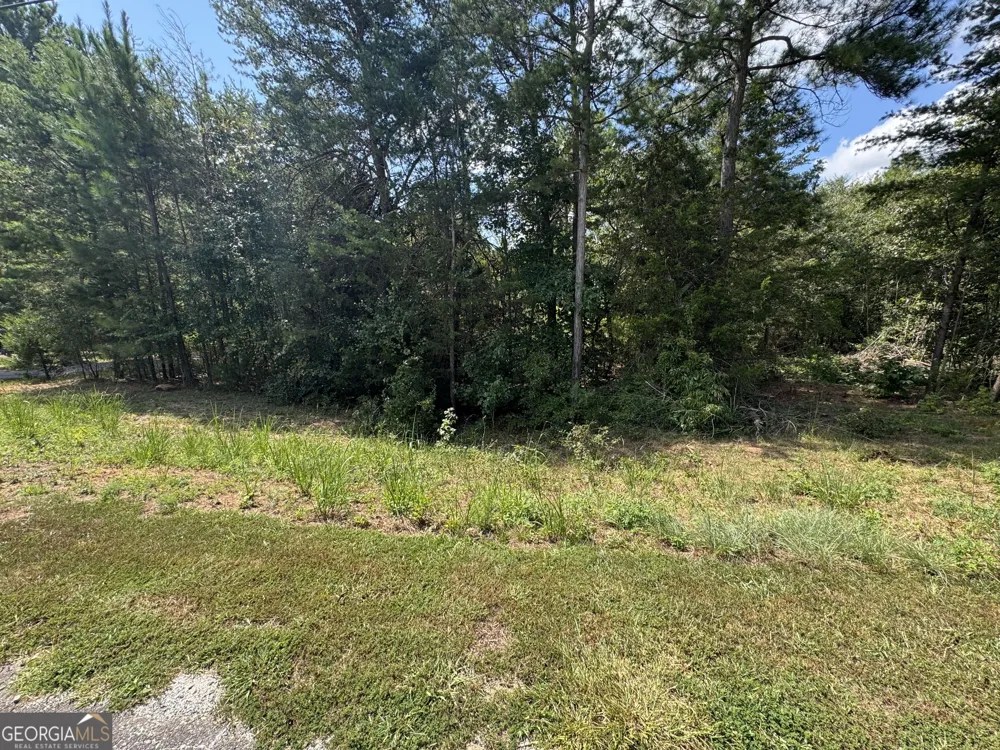 0 Omaha DR Elberton, GA 30635