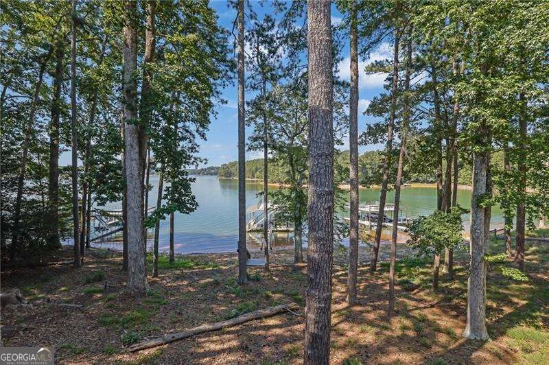 3275 Lanier Beach South RD Cumming, GA 30041
