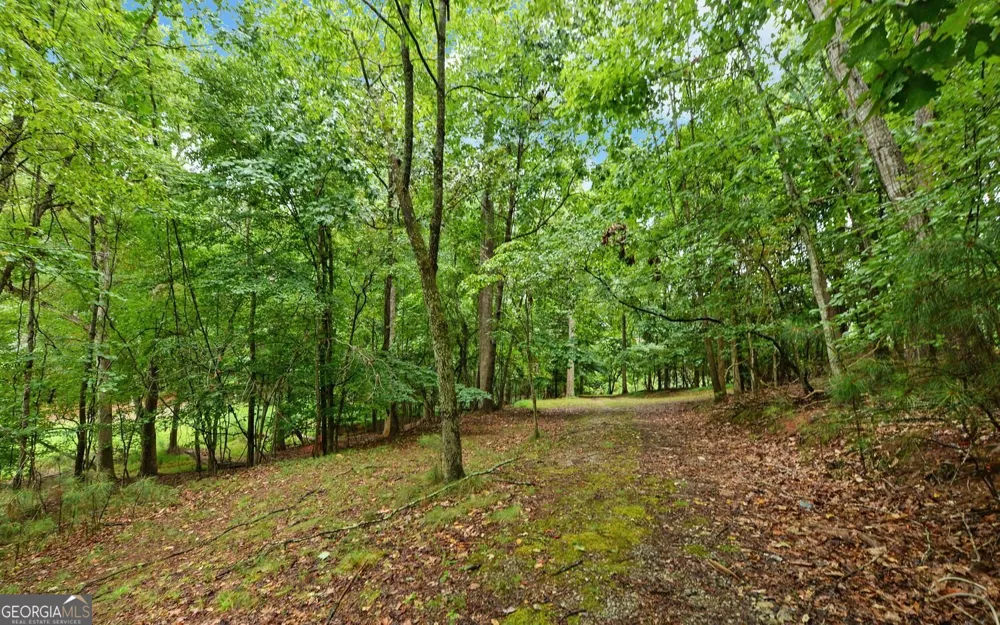 6285 Old Shadburn Ferry RD Buford, GA 30518