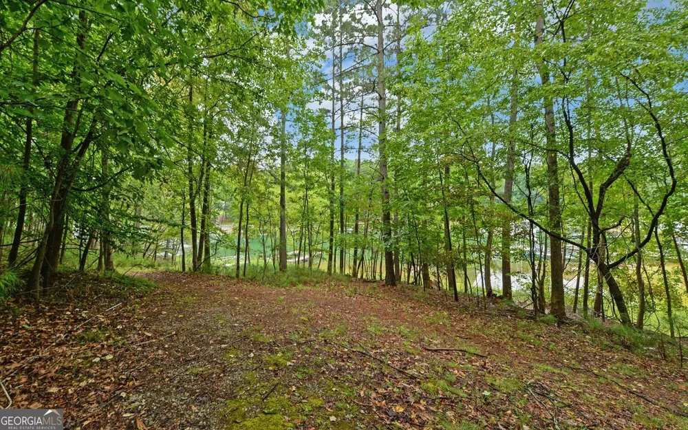 6285 Old Shadburn Ferry RD Buford, GA 30518