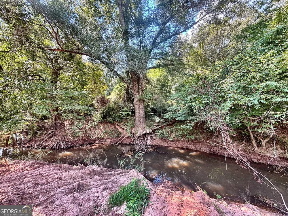 102 Yellow Creek Road Forsyth, GA 31029
