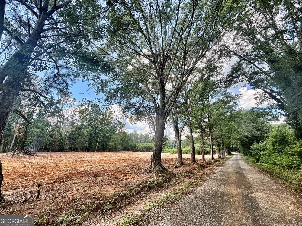 102 Yellow Creek Road Forsyth, GA 31029