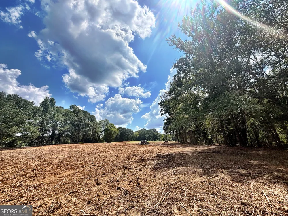 102 Yellow Creek Road Forsyth, GA 31029