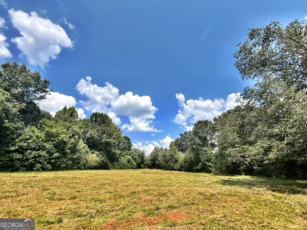 102 Yellow Creek Road Forsyth, GA 31029
