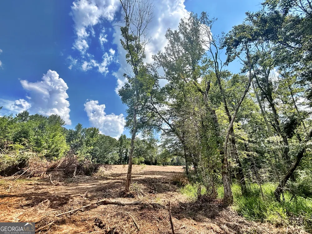 102 Yellow Creek Road Forsyth, GA 31029