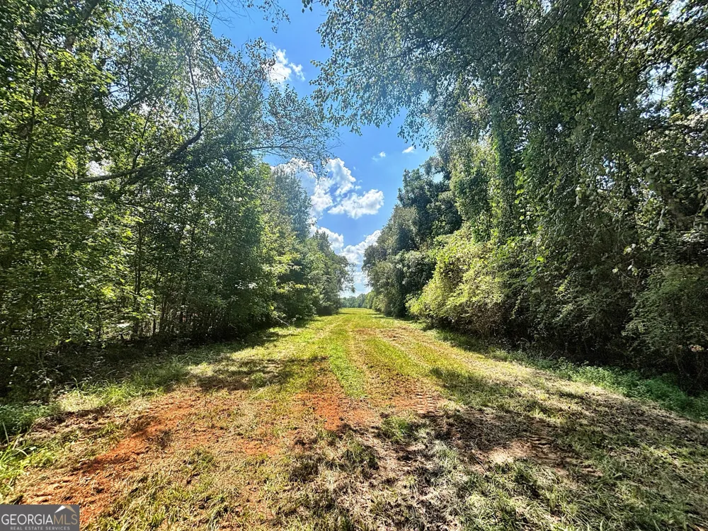 102 Yellow Creek Road Forsyth, GA 31029