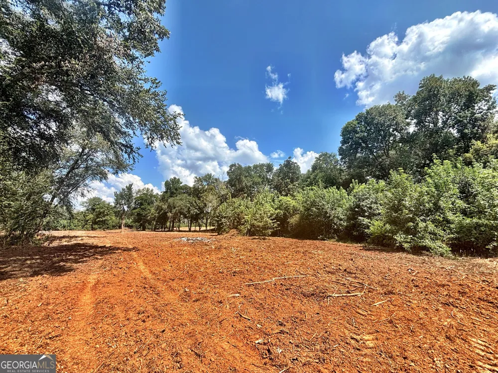 102 Yellow Creek Road Forsyth, GA 31029