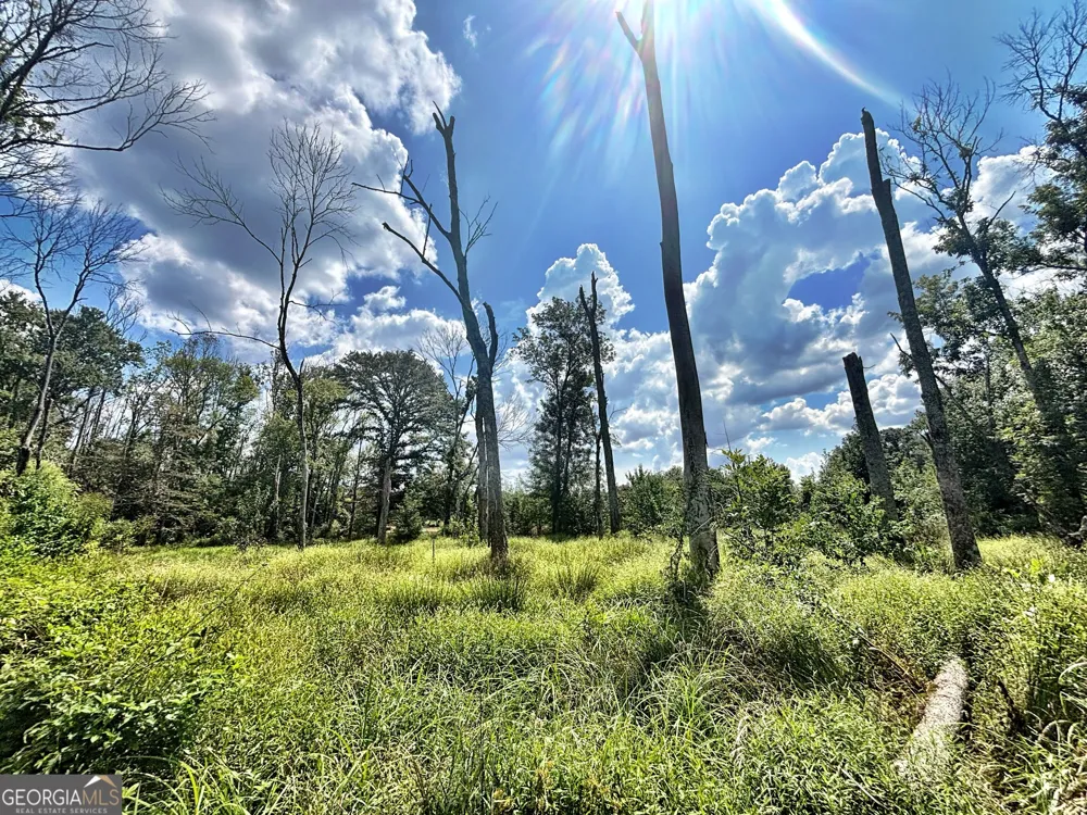 102 Yellow Creek Road Forsyth, GA 31029