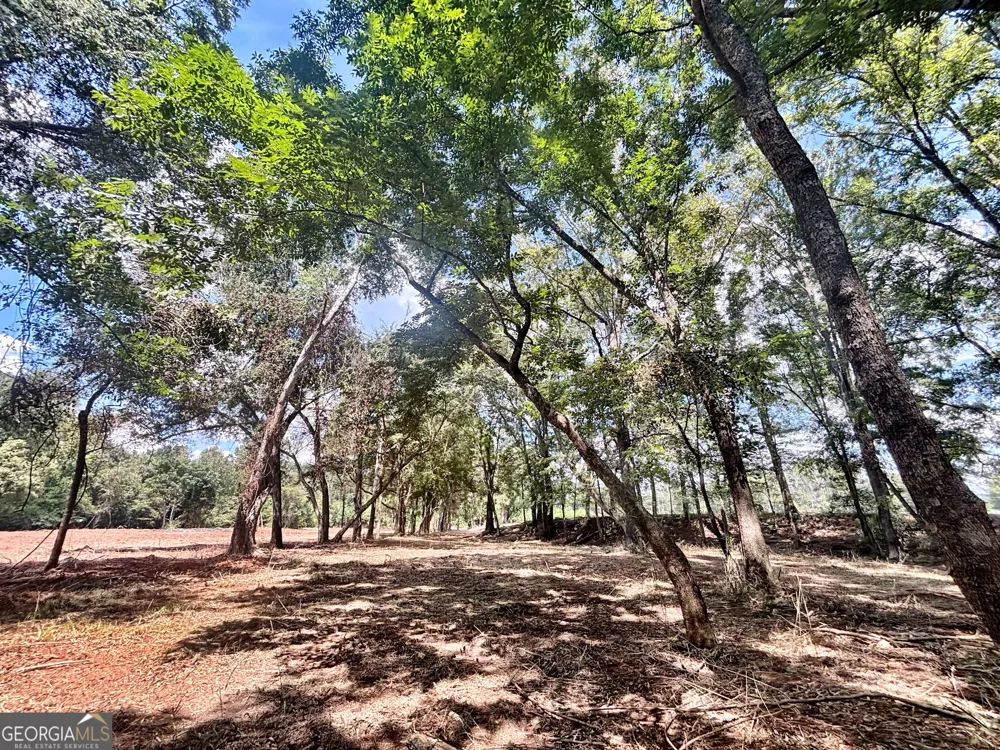 102 Yellow Creek Road Forsyth, GA 31029