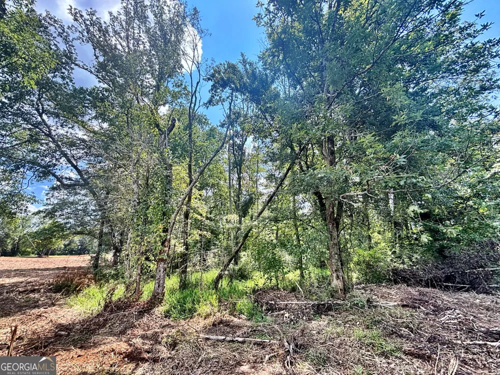 102 Yellow Creek Road Forsyth, GA 31029