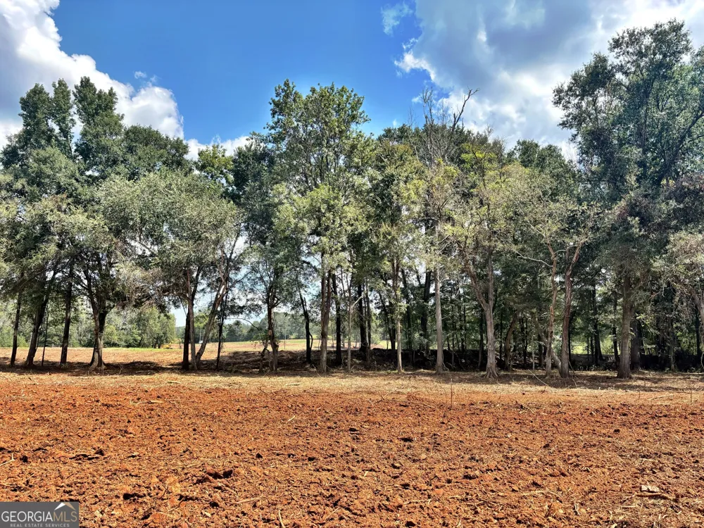 102 Yellow Creek Road Forsyth, GA 31029