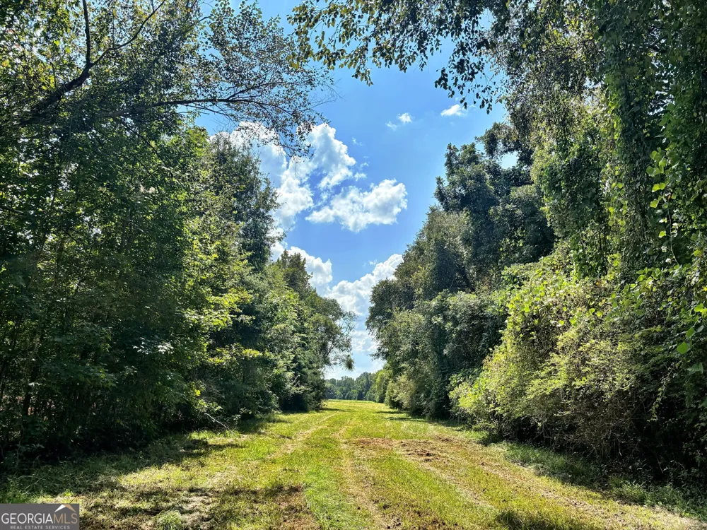 102 Yellow Creek Road Forsyth, GA 31029