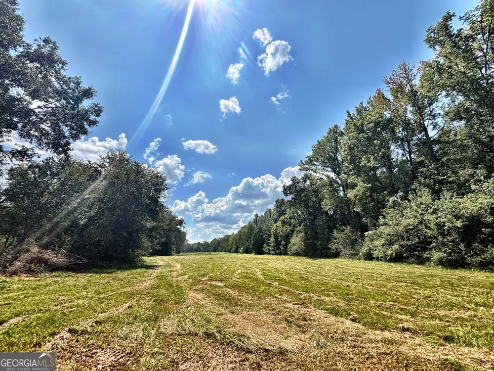102 Yellow Creek Road Forsyth, GA 31029