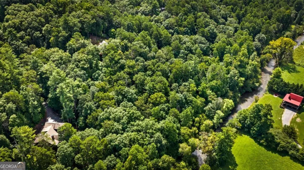 383 River Escape DR Ellijay, GA 30540