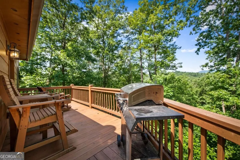 383 River Escape DR Ellijay, GA 30540