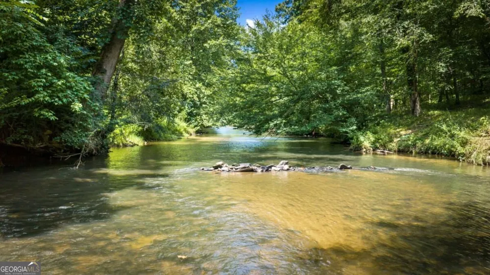 383 River Escape DR Ellijay, GA 30540