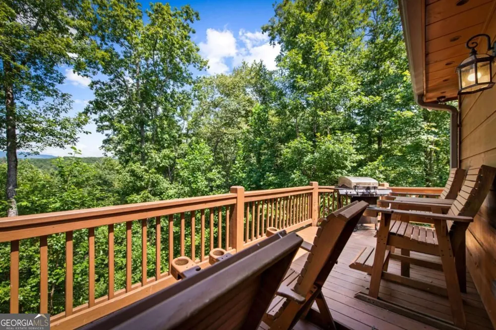 383 River Escape DR Ellijay, GA 30540