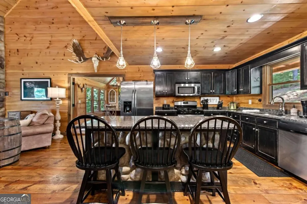 383 River Escape DR Ellijay, GA 30540