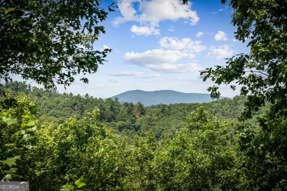 383 River Escape DR Ellijay, GA 30540