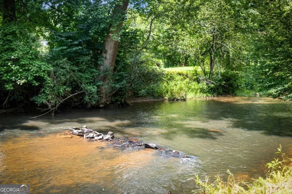 383 River Escape DR Ellijay, GA 30540