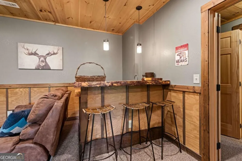 383 River Escape DR Ellijay, GA 30540