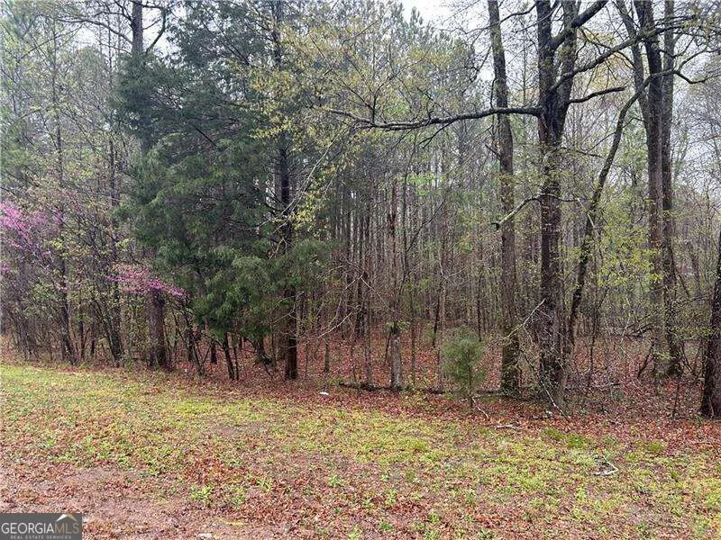 0 Walker Mountain RD SW Rome, GA 30161