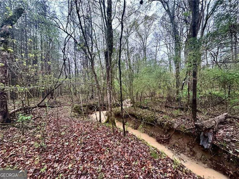 0 Walker Mountain RD SW Rome, GA 30161