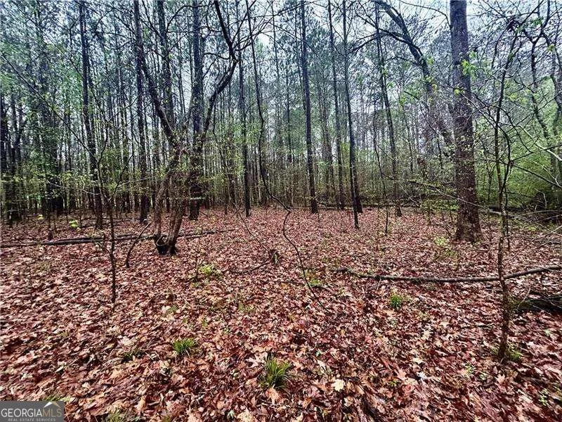 0 Walker Mountain RD SW Rome, GA 30161