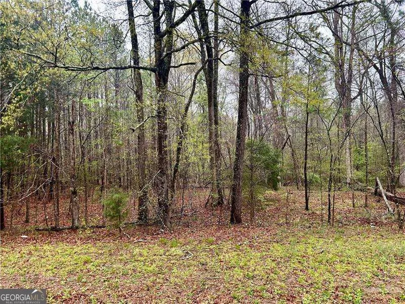 0 Walker Mountain RD SW Rome, GA 30161