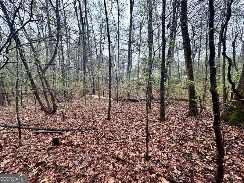 0 Walker Mountain RD SW Rome, GA 30161