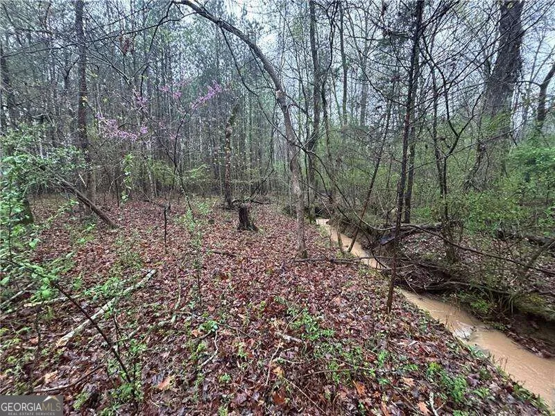 0 Walker Mountain RD SW Rome, GA 30161