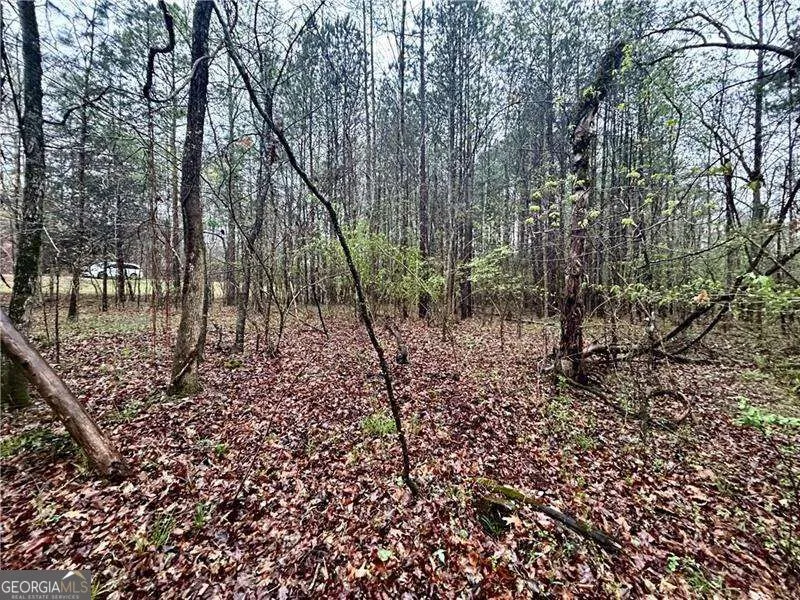0 Walker Mountain RD SW Rome, GA 30161