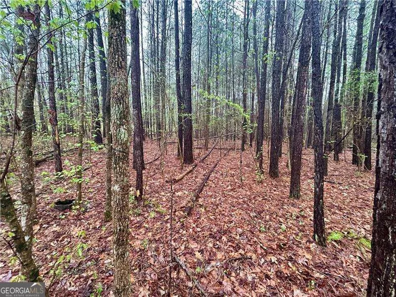 0 Walker Mountain RD SW Rome, GA 30161
