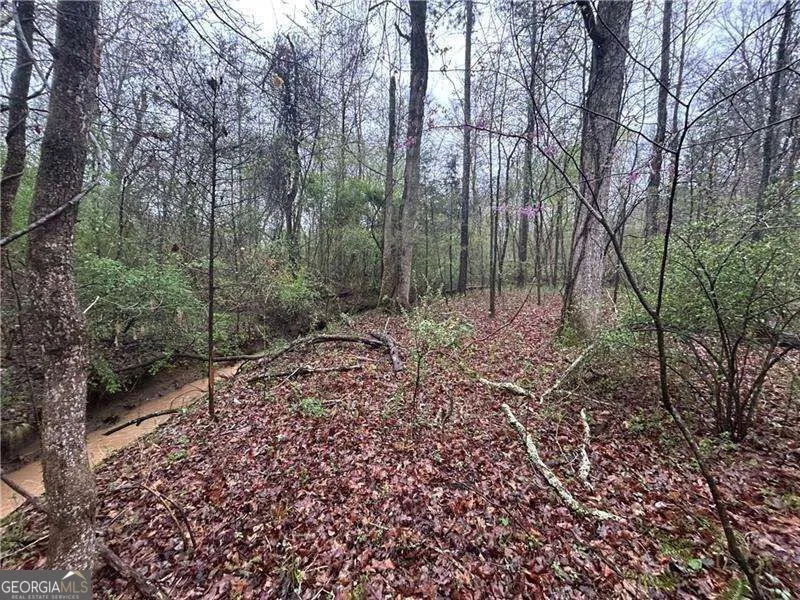 0 Walker Mountain RD SW Rome, GA 30161