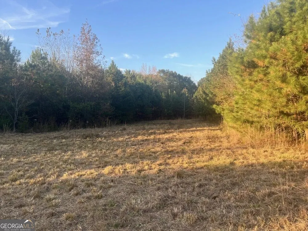 125 Karen DR McDonough, GA 30252