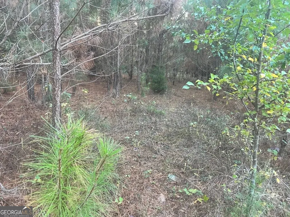 125 Karen DR McDonough, GA 30252