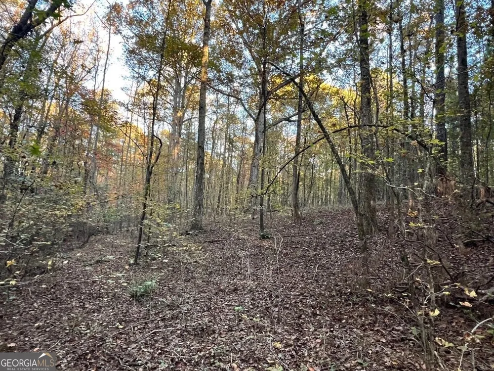125 Karen DR McDonough, GA 30252