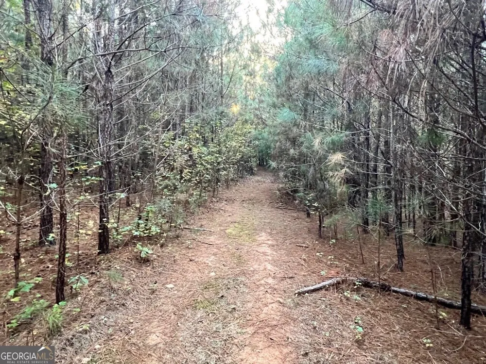 125 Karen DR McDonough, GA 30252