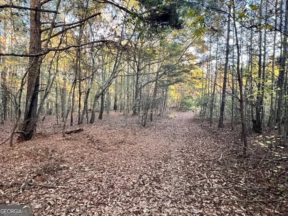 125 Karen DR McDonough, GA 30252
