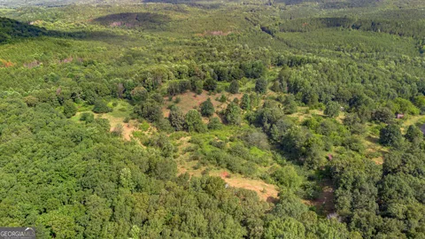 5967 County Road 19