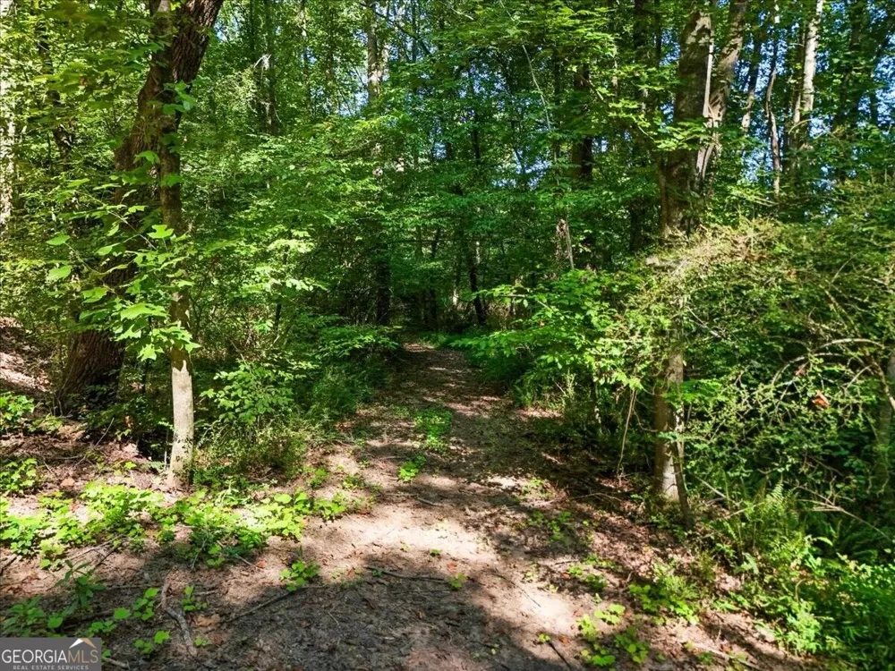 0 Lineberry LN Cumming, GA 30028