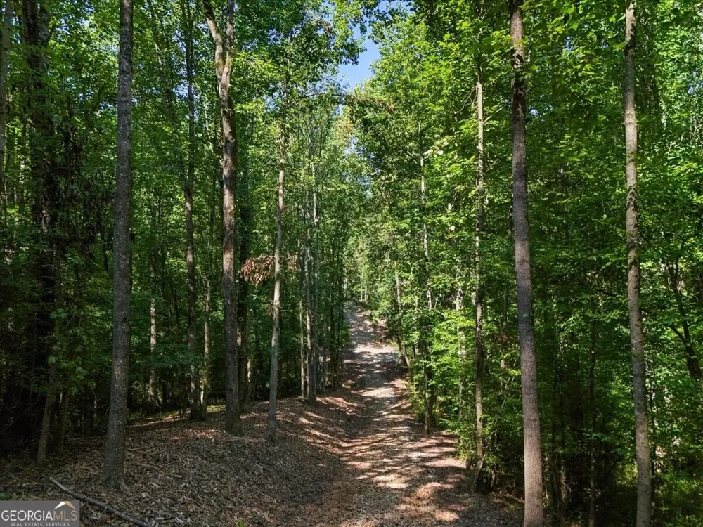 0 Lineberry LN Cumming, GA 30028
