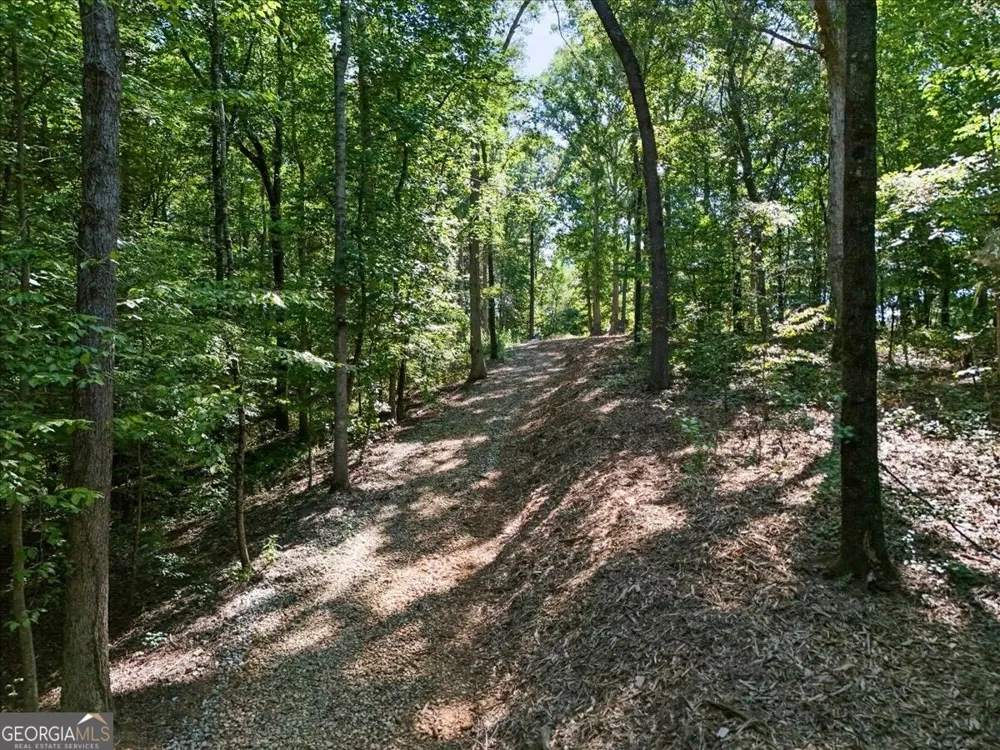 0 Lineberry LN Cumming, GA 30028