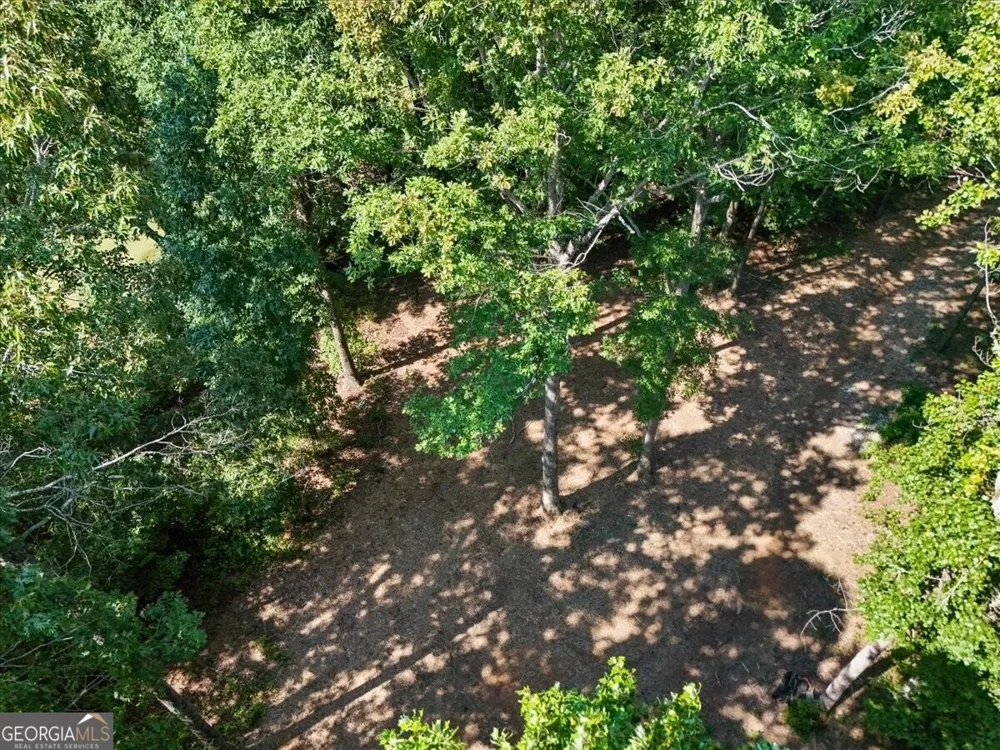 0 Lineberry LN Cumming, GA 30028