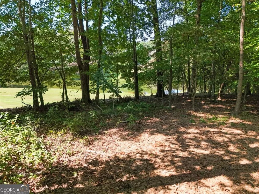0 Lineberry LN Cumming, GA 30028