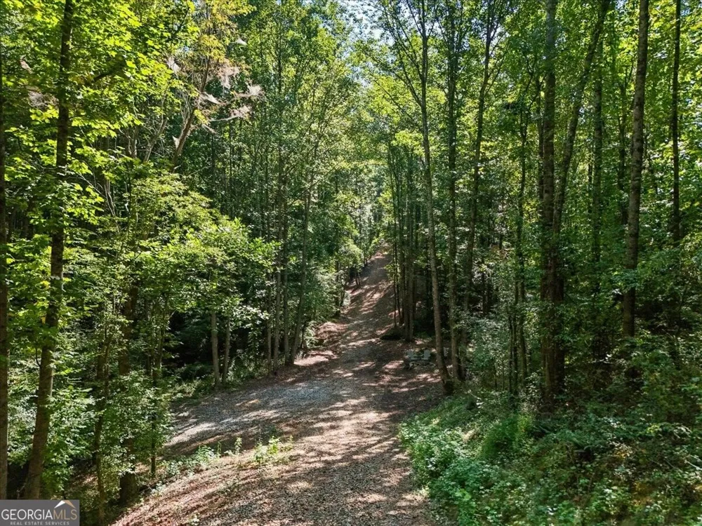 0 Lineberry LN Cumming, GA 30028