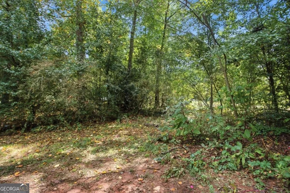 255 Belmont Farms DR Ellenwood, GA 30294
