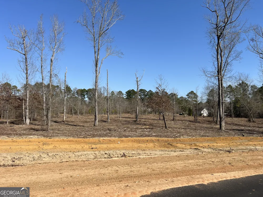 0 Holly RDG Dublin, GA 31021