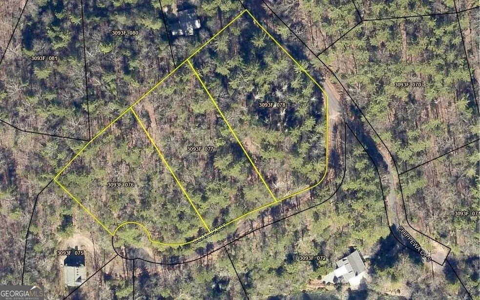 0 Coatopa CT Ellijay, GA 30540