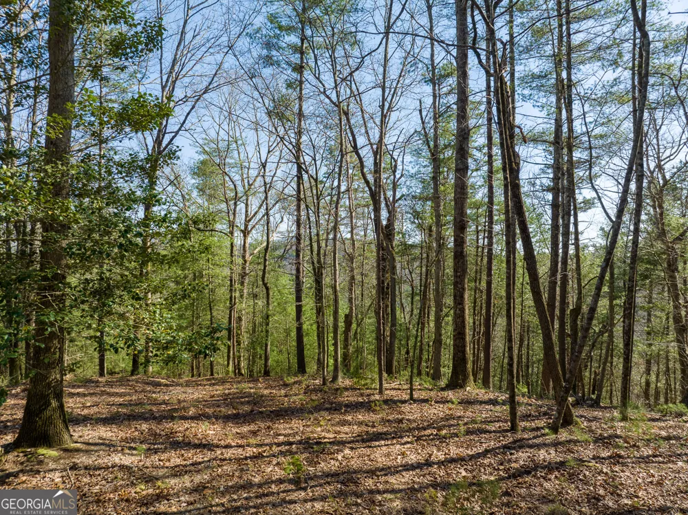 0 Coatopa CT Ellijay, GA 30540